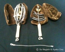 cosmical seeds
